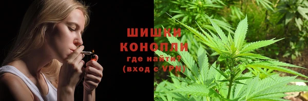 шишки Белоозёрский