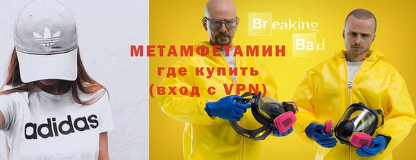 шишки Белоозёрский