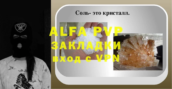 шишки Белоозёрский
