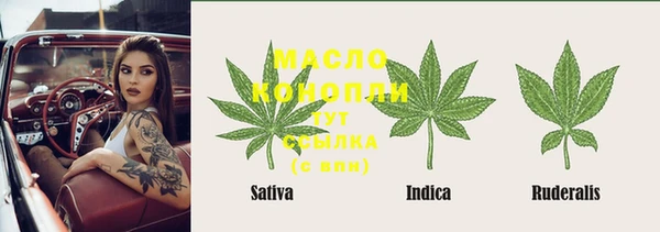 шишки Белоозёрский