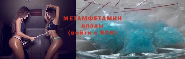 PSILOCYBIN Болотное