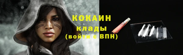 шишки Белоозёрский
