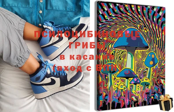 шишки Белоозёрский