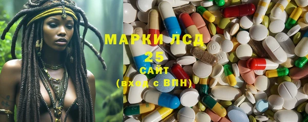 шишки Белоозёрский