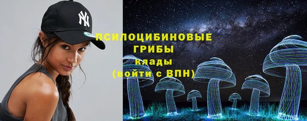 шишки Белоозёрский