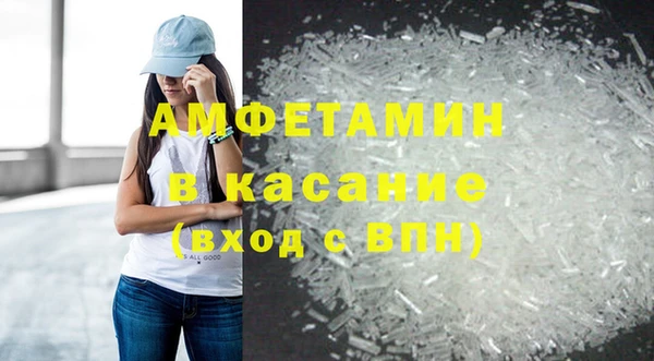 шишки Белоозёрский