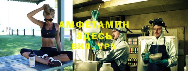 шишки Белоозёрский