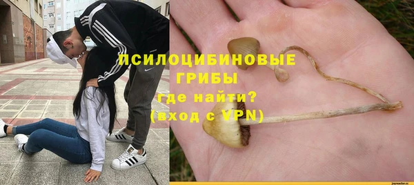шишки Белоозёрский