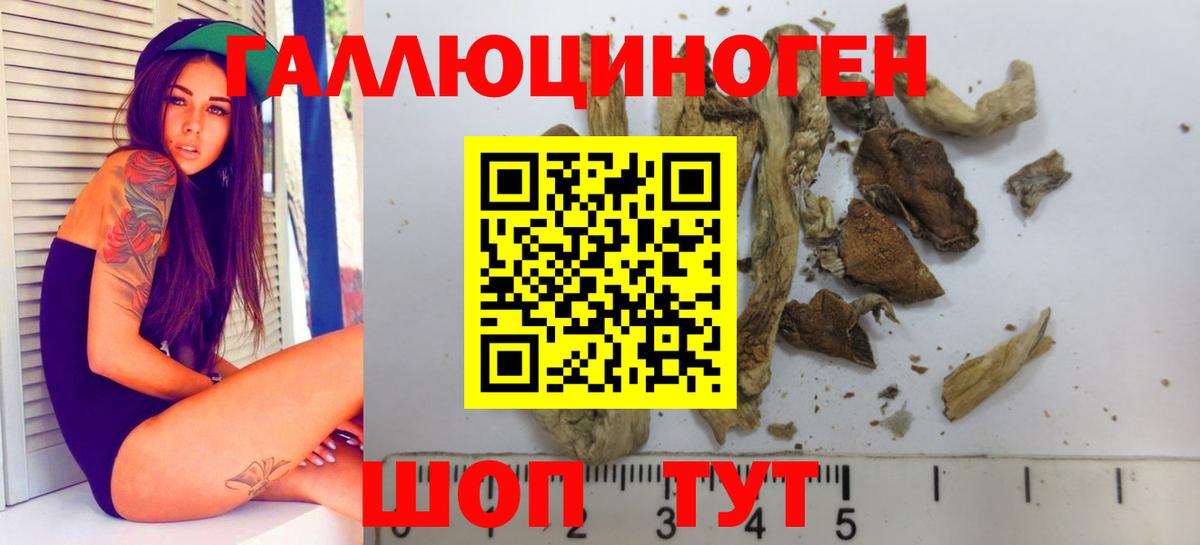 Кувандык  Галлюциногенные грибы Psilocybine cubensis  Вход с VPN 